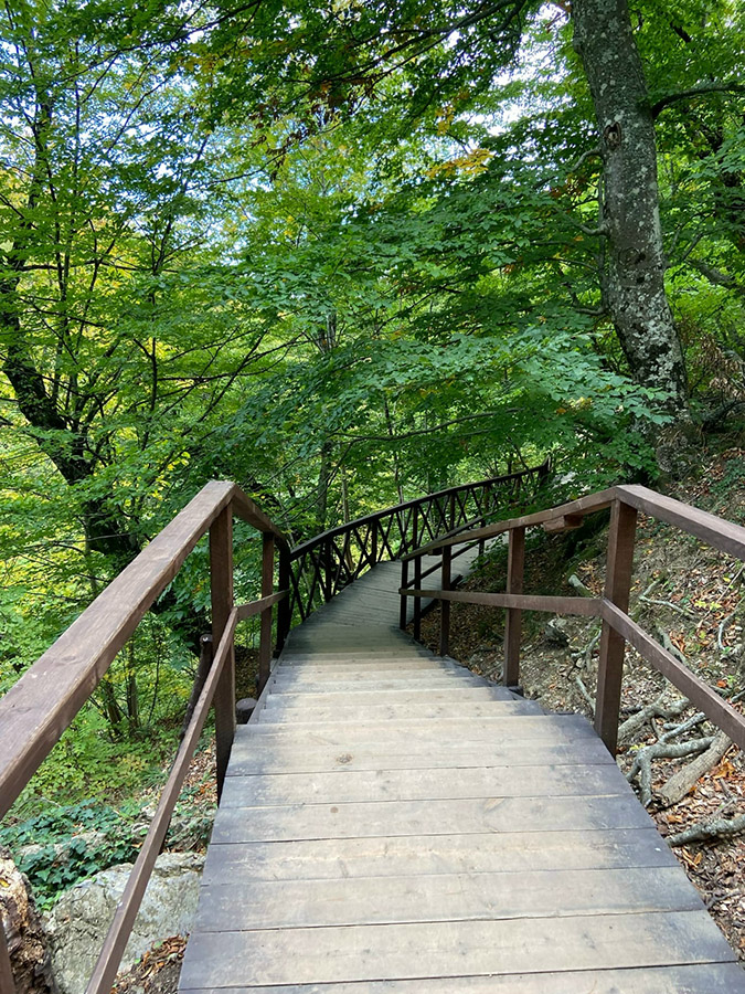 куда сходить в алуште в крыму – фото