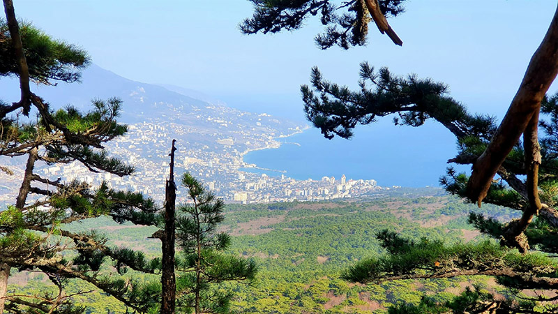 Боткинская тропа